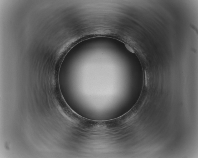 X0000099480252200805231902