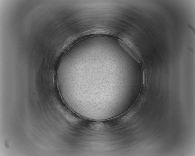 X0000099480253200805231902