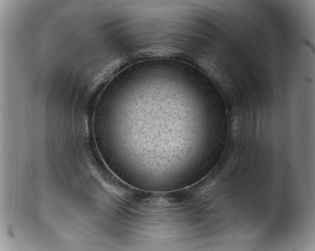 X0000099480254200805231902