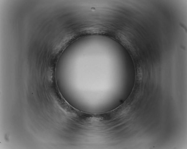 X0000099480255200805231902