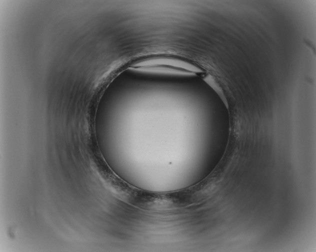 X0000099480256200805231902