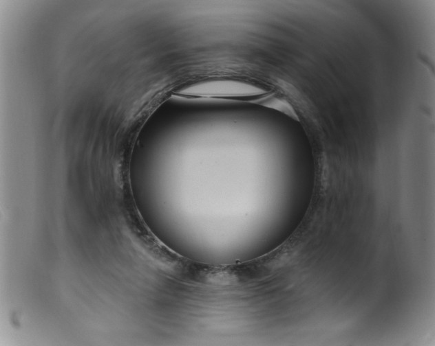 X0000099480258200805231902