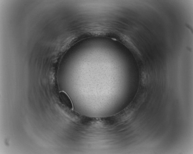 X0000099480259200805231902