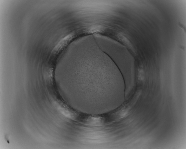 X0000099480260200805231902