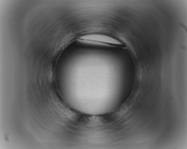 X0000099480261200805231902