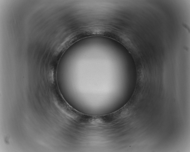 X0000099480262200805231902