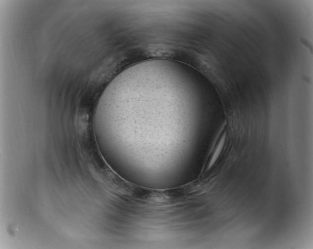 X0000099480263200805231902