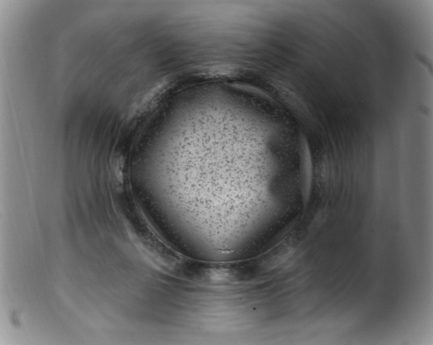 X0000099480264200805231902