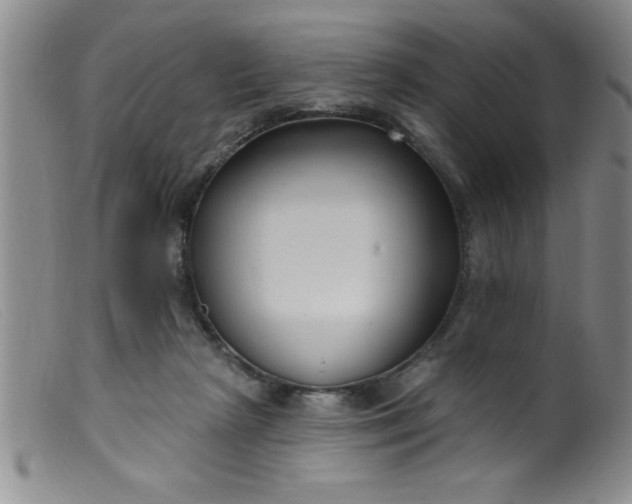 X0000099480265200805231902