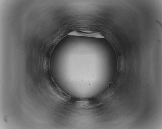 X0000099480266200805231902