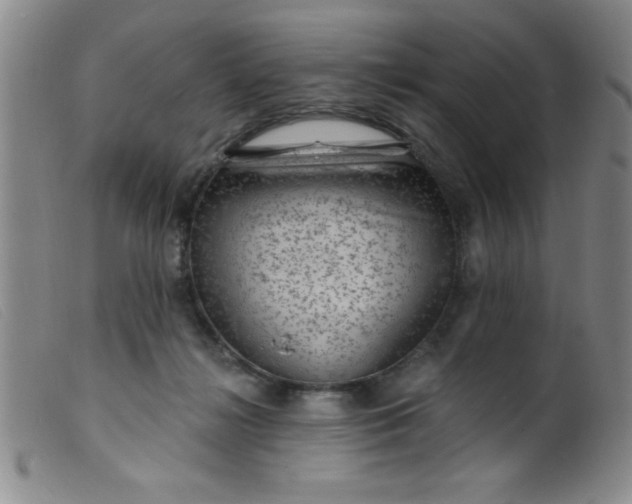 X0000099480268200805231902