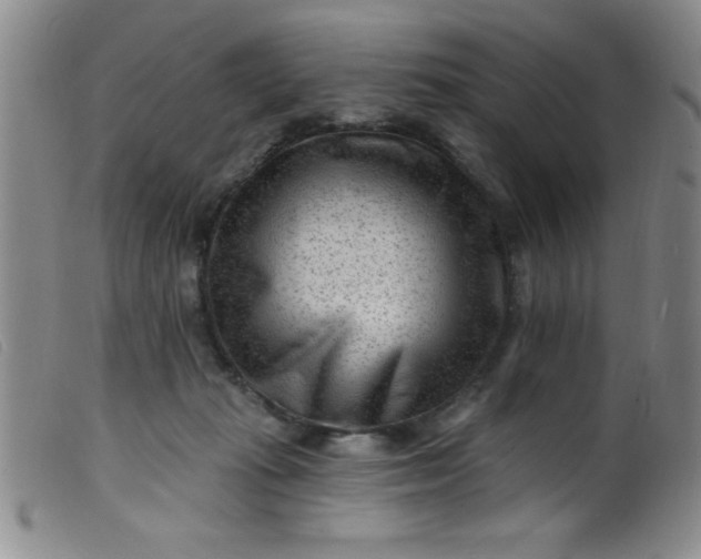 X0000099480269200805231902