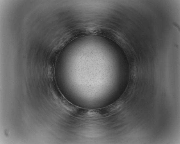 X0000099480270200805231902