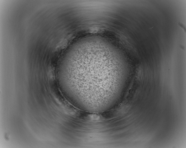 X0000099480272200805231902