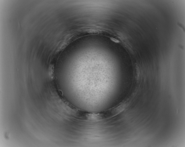 X0000099480273200805231902