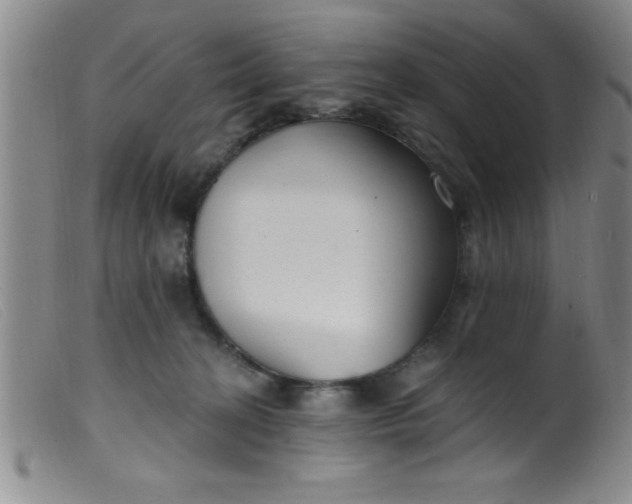 X0000099480274200805231902