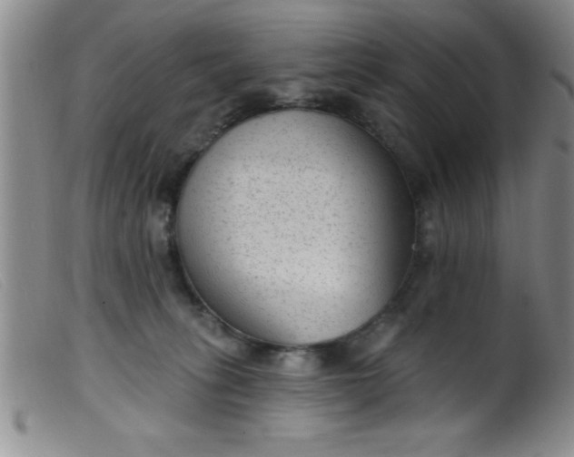 X0000099480275200805231902