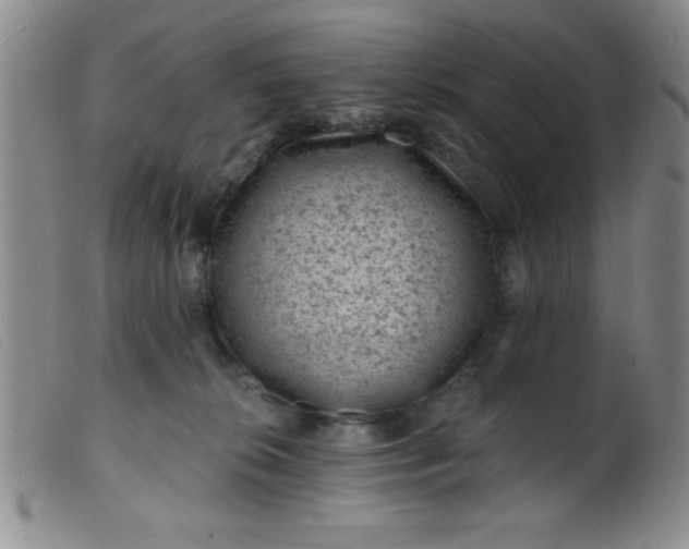 X0000099480276200805231902