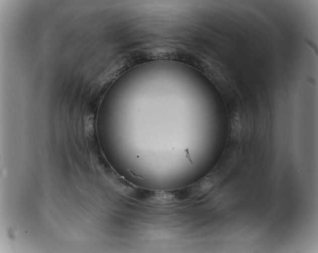 X0000099480278200805231902