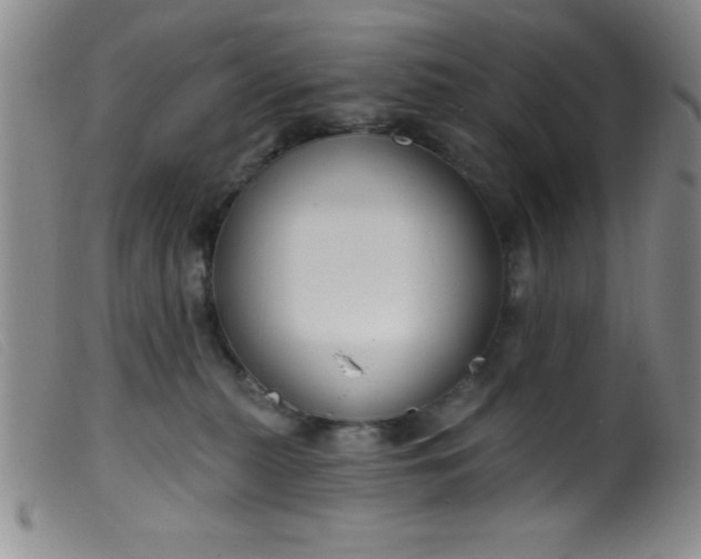 X0000099480279200805231902