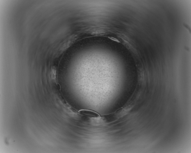 X0000099480281200805231902