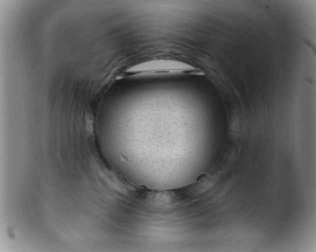 X0000099480282200805231902