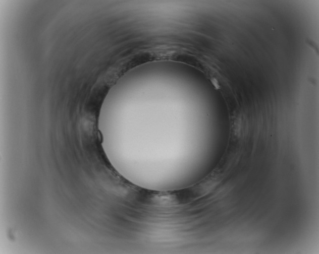 X0000099480283200805231902