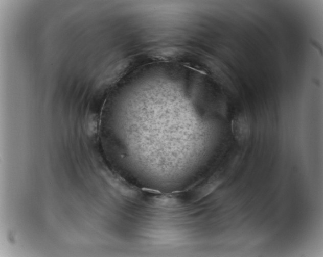 X0000099480284200805231902