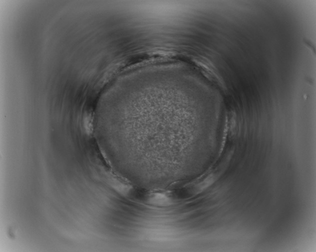 X0000099480285200805231902