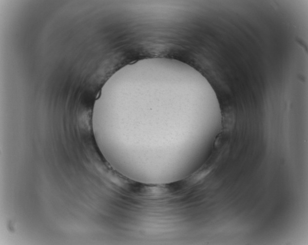 X0000099480286200805231902