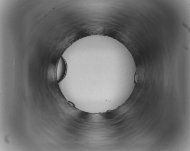 X0000099480287200805231902