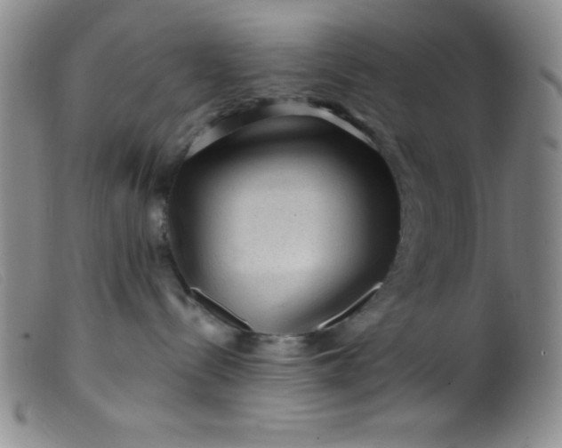 X0000099480288200805231902