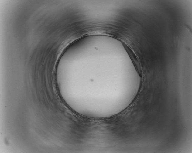 X0000099480289200805231902