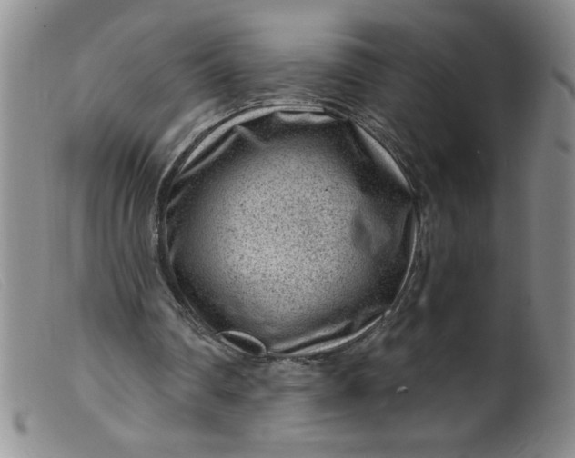 X0000099480290200805231902