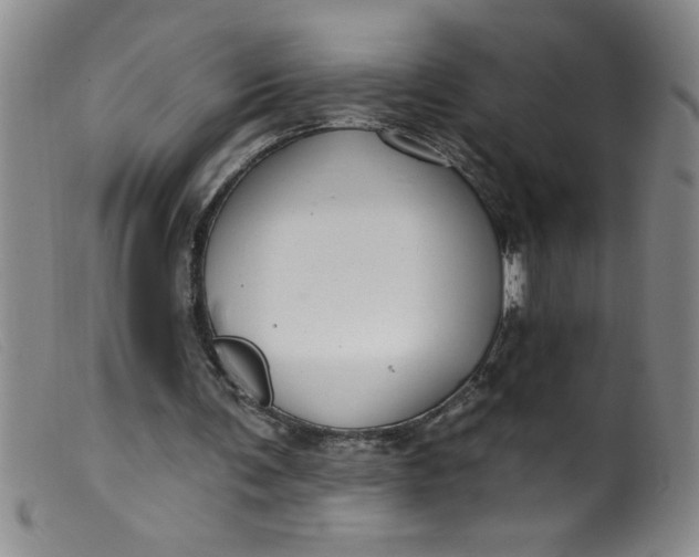 X0000099480291200805231902