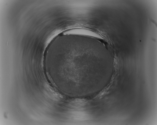 X0000099480292200805231902