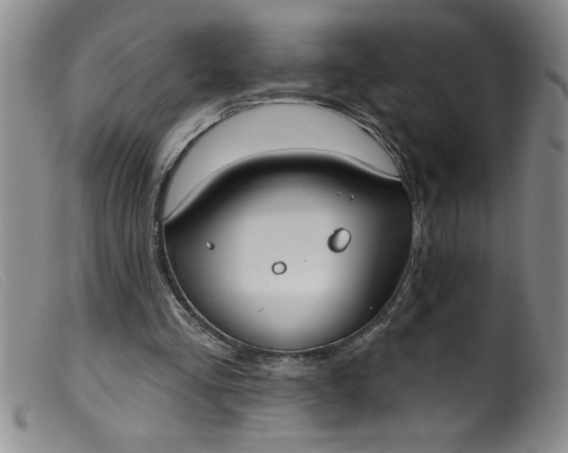 X0000099480293200805231902