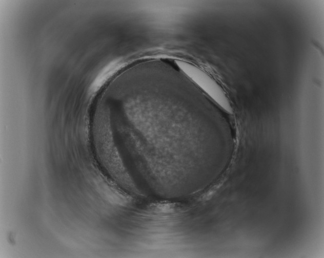 X0000099480295200805231902