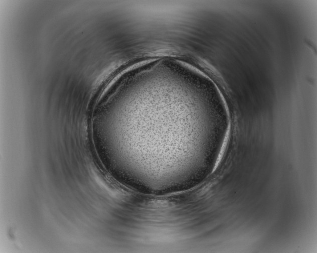 X0000099480298200805231902