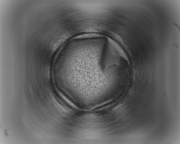 X0000099480299200805231902