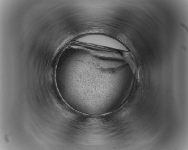 X0000099480300200805231901