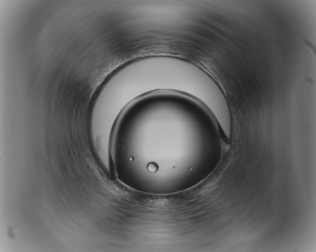 X0000099480301200805231901