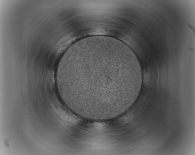 X0000099480302200805231901