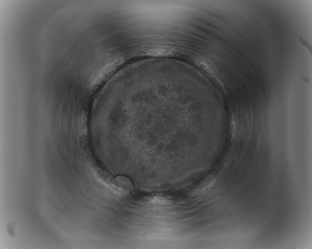 X0000099480303200805231901