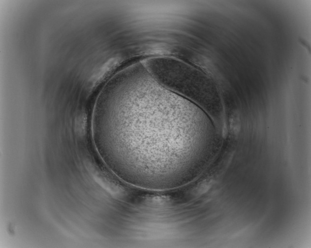 X0000099480304200805231901