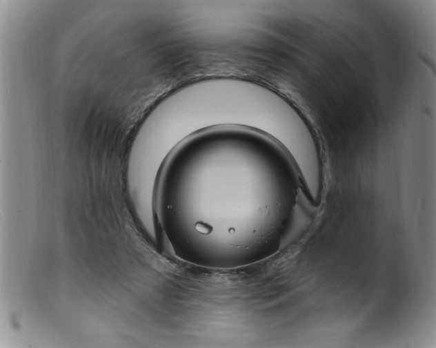 X0000099480305200805231901