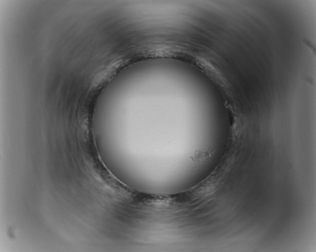 X0000099480306200805231901