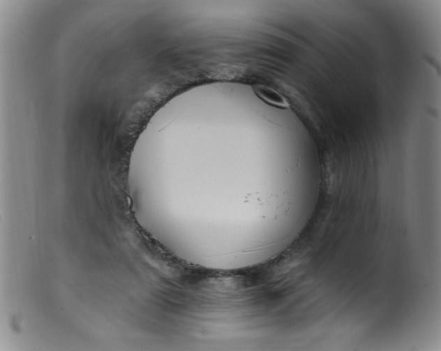 X0000099480307200805231901