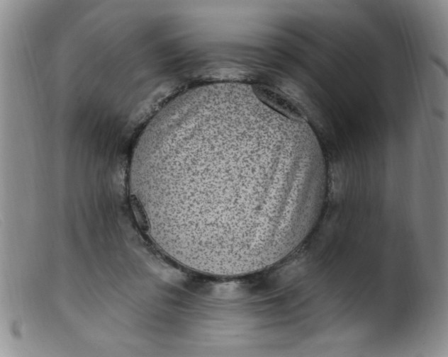 X0000099480309200805231901