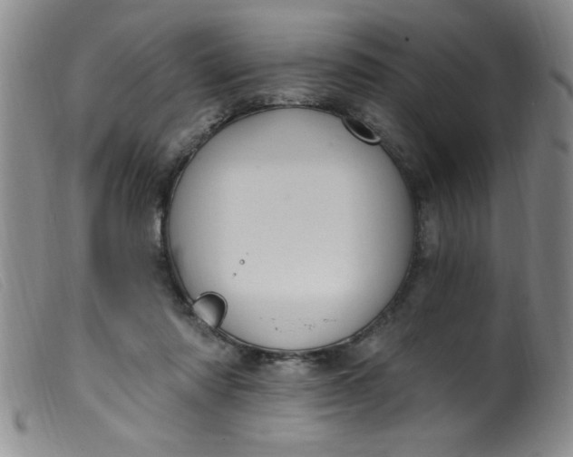 X0000099480310200805231901